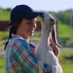 The High-Margin Homestead: Cutting-Edge Tactics to Reduce Feed Loss and Banish Livestock Pests